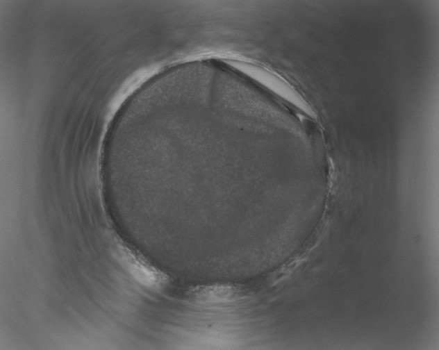 X0000076450104200611031941
