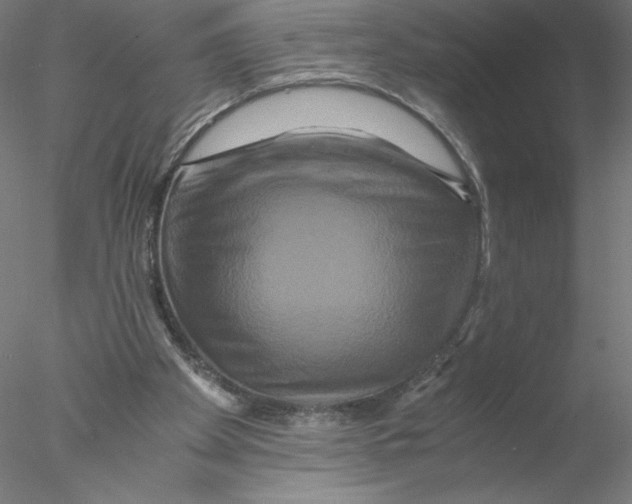 X0000076450105200611031941