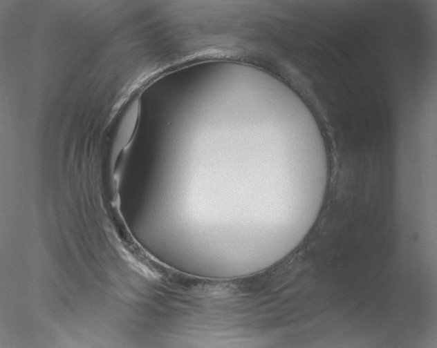 X0000076450106200611031941