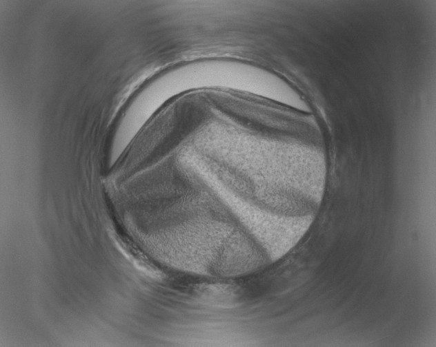 X0000076450107200611031941
