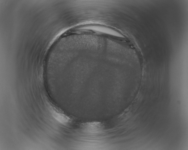X0000076450108200611031941