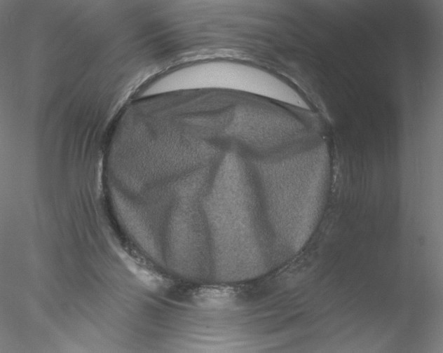 X0000076450110200611031941