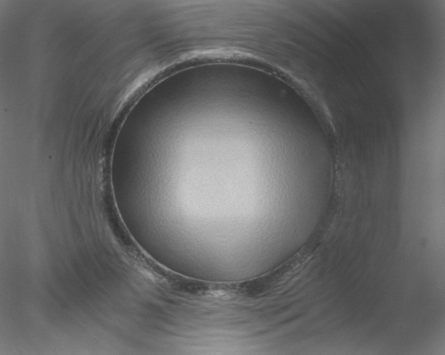 X0000076450111200611031941