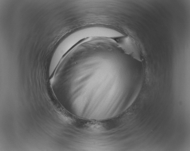 X0000076450113200611031941