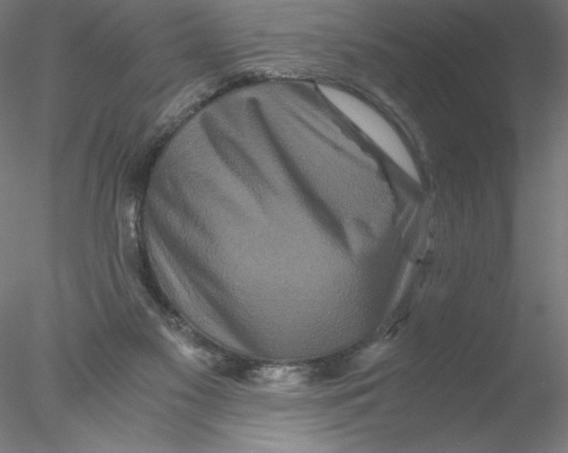 X0000076450117200611031941