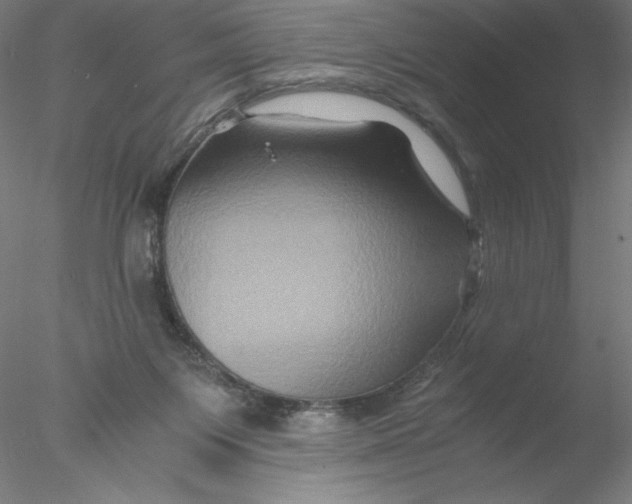 X0000076450119200611031941