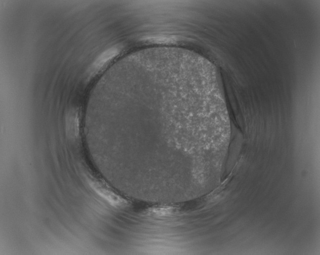 X0000076450120200611031941