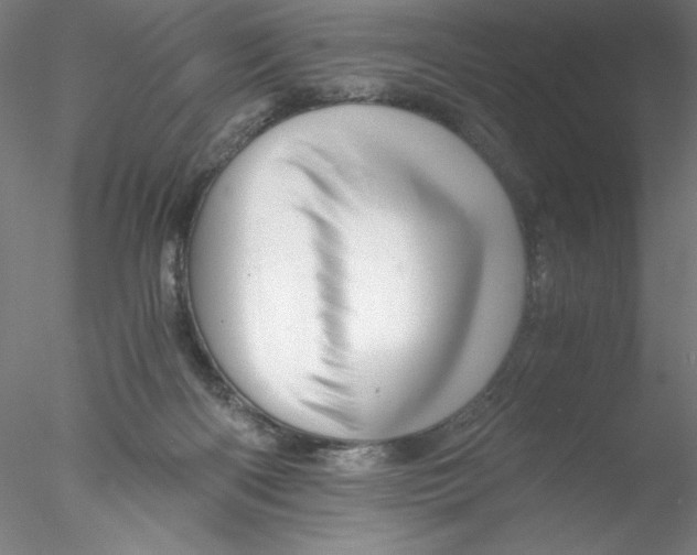 X0000076450122200611031941
