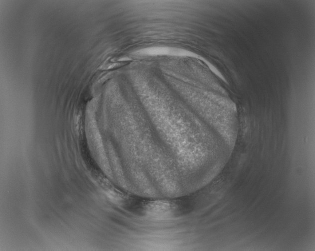 X0000076450123200611031941