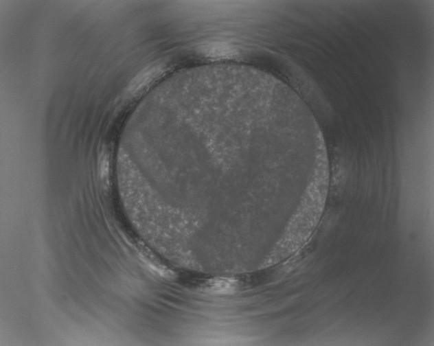 X0000076450124200611031941