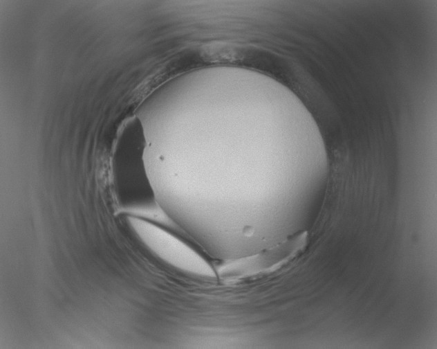 X0000076450125200611031941