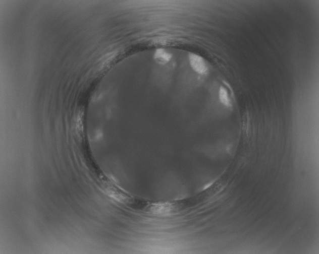 X0000076450127200611031941