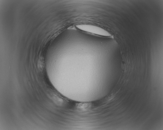 X0000076450135200611031941