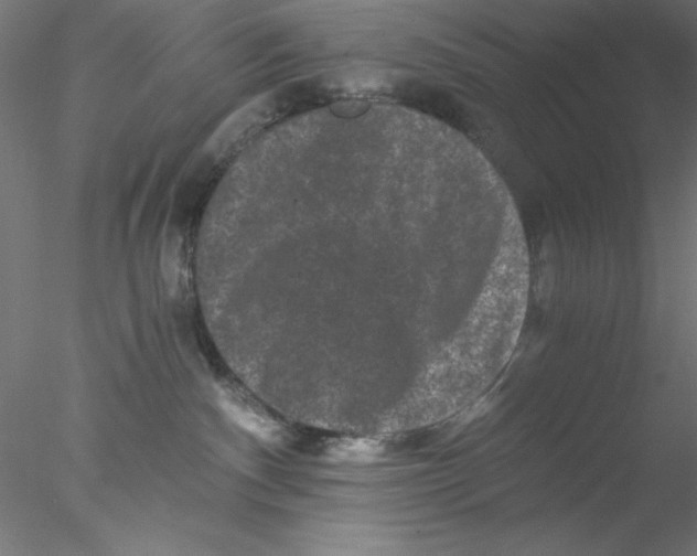 X0000076450140200611031941
