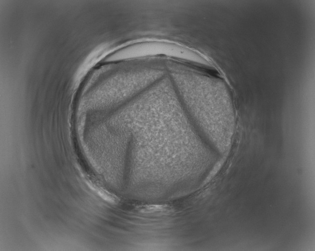 X0000076450151200611031940