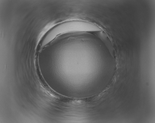 X0000076450152200611031940