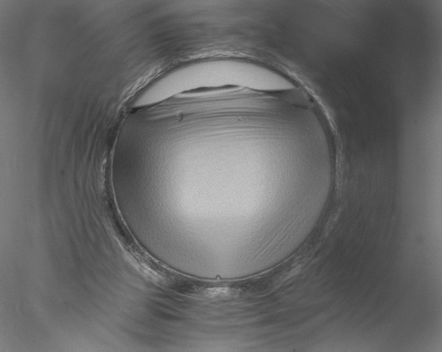 X0000076450153200611031940