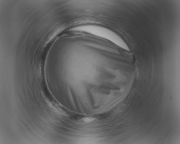X0000076450158200611031940