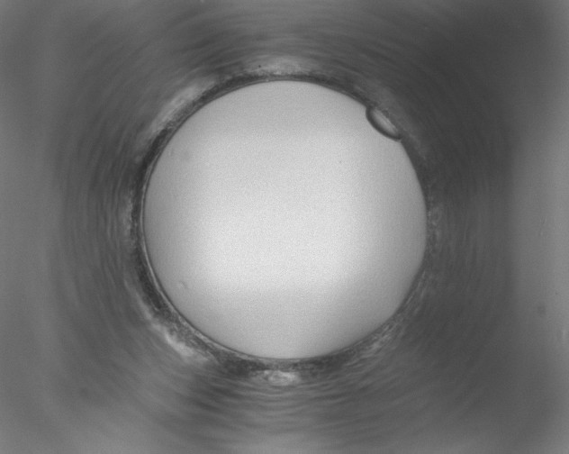 X0000076450159200611031940