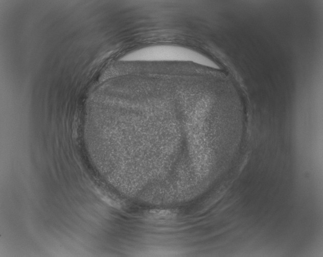 X0000076450161200611031940