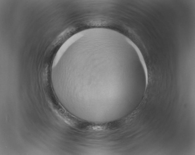 X0000076450163200611031940