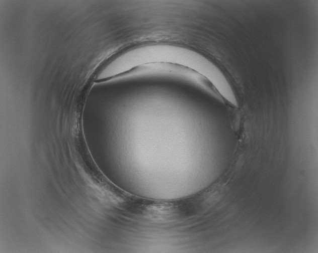 X0000076450164200611031940