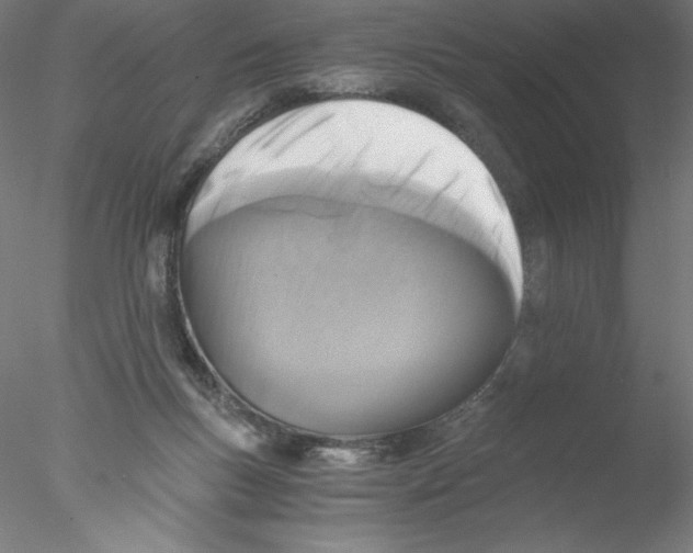 X0000076450167200611031940