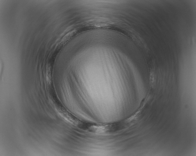 X0000076450170200611031940
