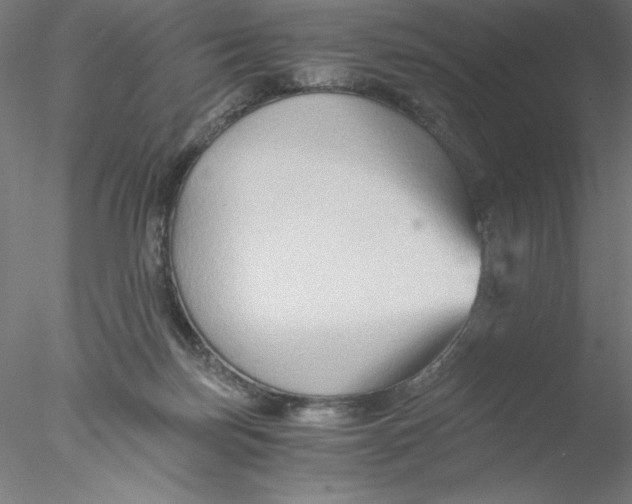 X0000076450171200611031940