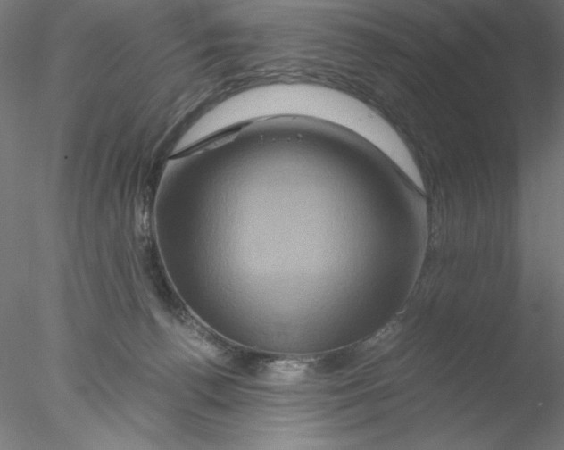 X0000076450176200611031940