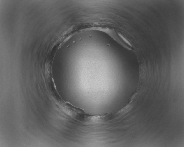 X0000076450184200611031941