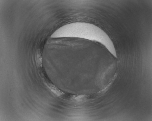 X0000076450186200611031941