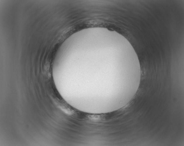 X0000076450187200611031941