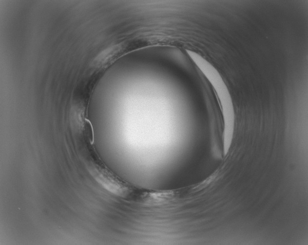 X0000076450188200611031941