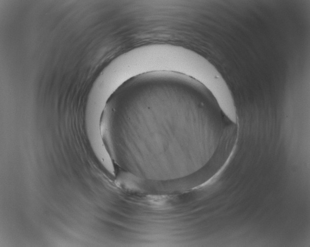 X0000076450190200611031941