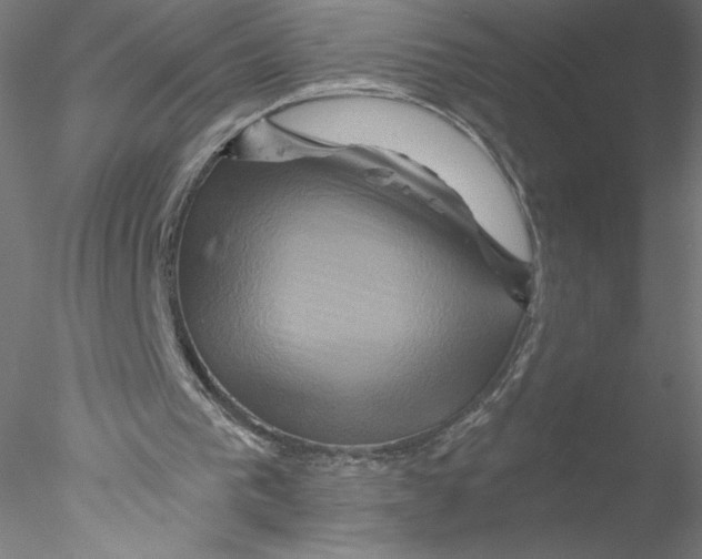 X0000076450193200611031940