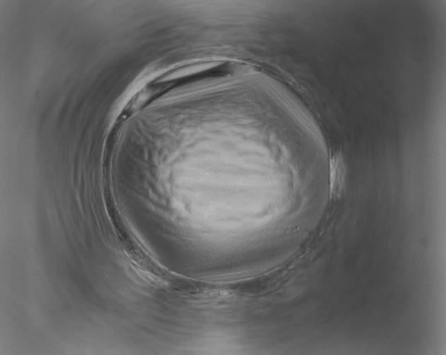 X0000076450195200611031940