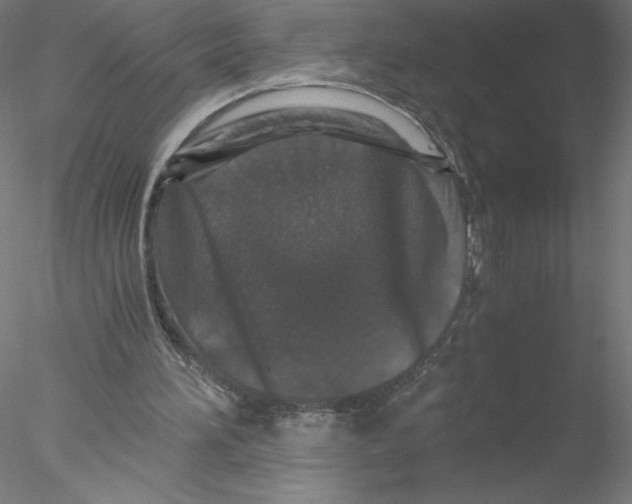 X0000076450196200611031940