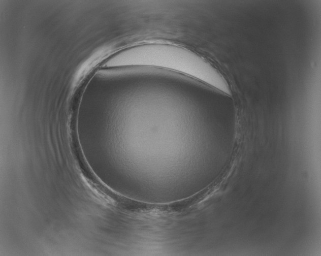 X0000076450197200611031940