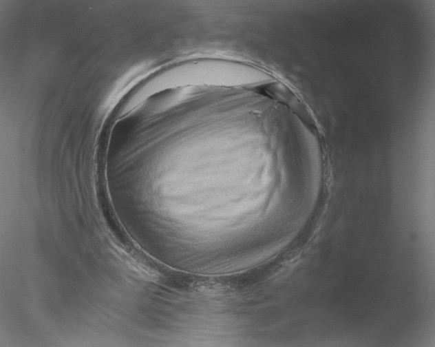 X0000076450199200611031940