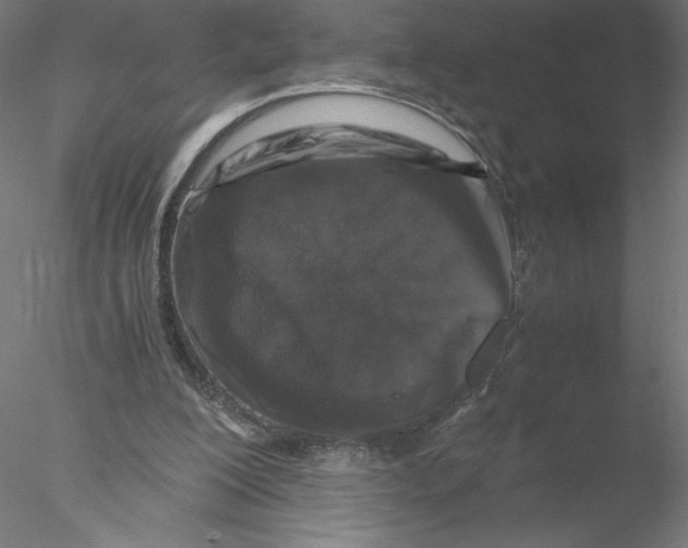 X0000076450200200611031940