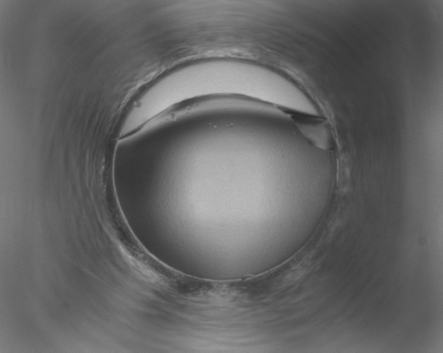 X0000076450201200611031940
