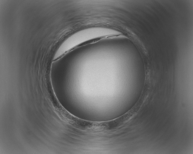 X0000076450209200611031940