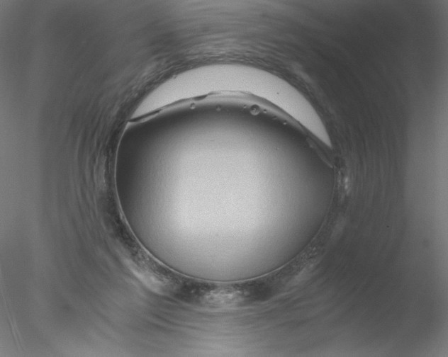 X0000076450213200611031940