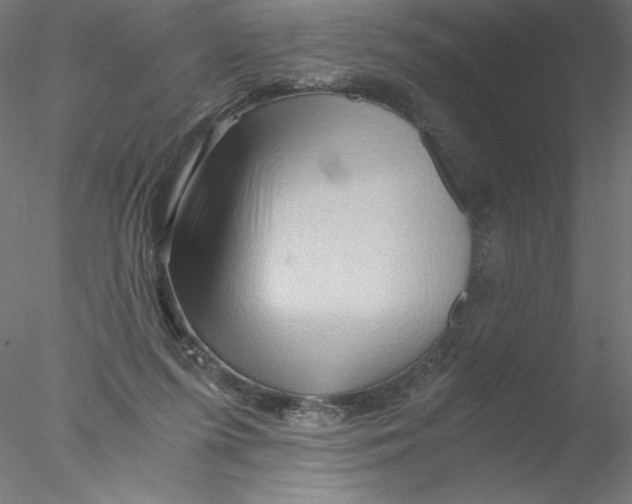 X0000076450215200611031940