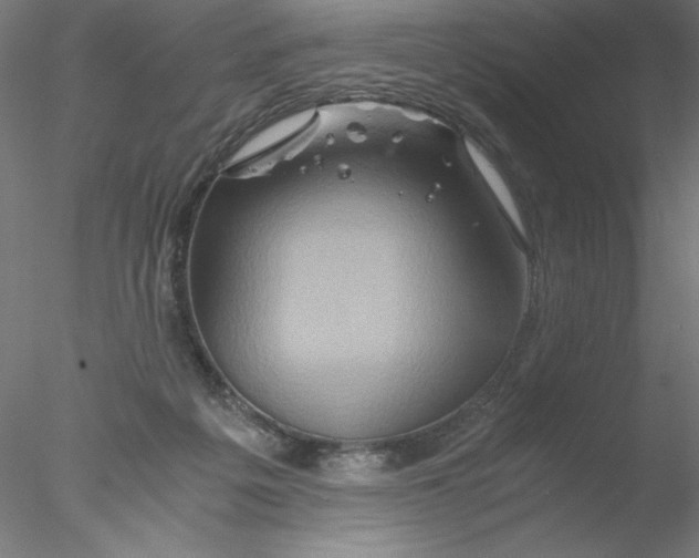 X0000076450217200611031940