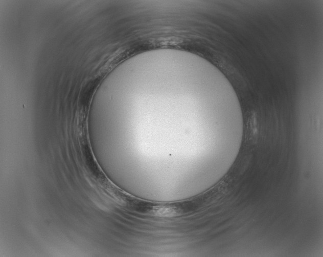 X0000076450218200611031940
