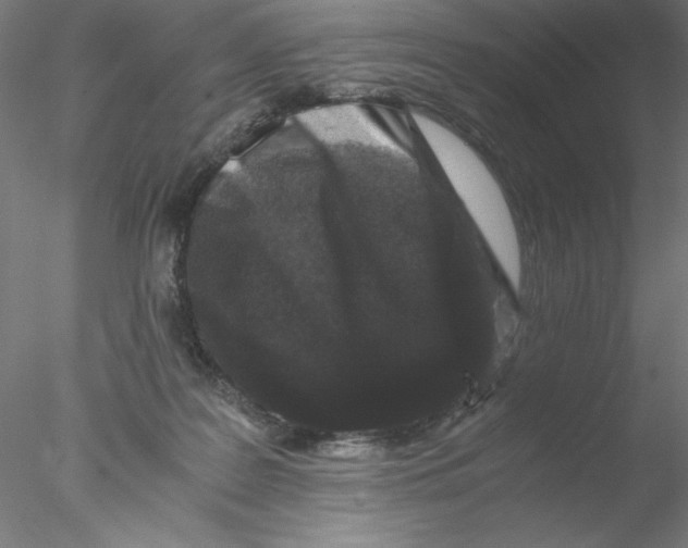 X0000076450219200611031940