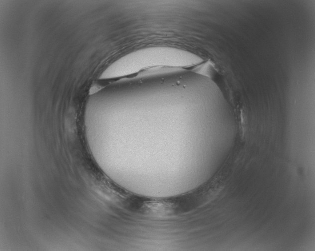 X0000076450221200611031939