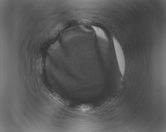 X0000076450223200611031939